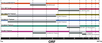 Tilapia lake virus: A structured phylogenetic approach